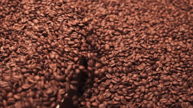 Slowmotion of coffee roasting machine circulating hot and fresh roasted coffee beans