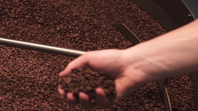slowmotion of hand checking quality of fresh roasted coffee