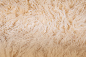 Sheep's wool. Sheep wool texture lamb background