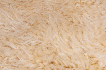 Sheep's wool. Sheep wool texture lamb background