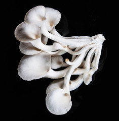 White beech mushrooms isolated on black background
