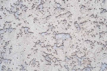 Gray cement concrete abstract texture background and wallpaper