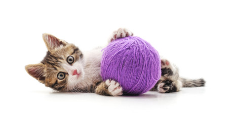 One striped kitten with a ball of yarn.
