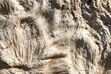 texture of putty on the wall. grunge background.