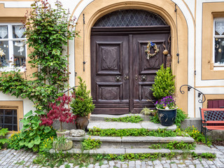 Fototapeta na wymiar Alte Tür mit pflanzlicher Dekoration
