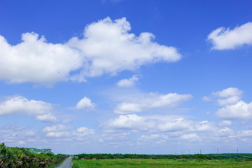 Naklejka premium 青空と白い雲
