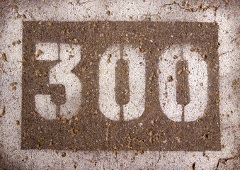 the numbers on the pavement 300