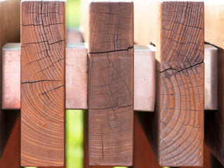Butt of wood macro texture