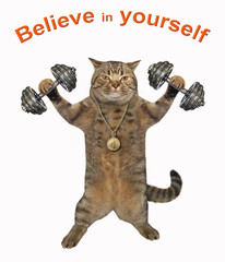 The cat athlete with a sports medal is lifting dumbbells. Believe in yourself. White background. Isolated.
