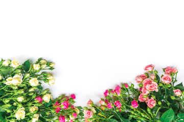 bouquet of small colored roses on a white background - Image