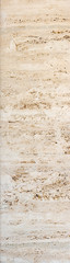 Coquina stone texture or background