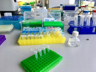 test tubes in laboratory