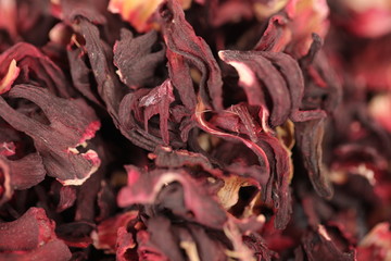 Texture hibiscus sudanese rose petals