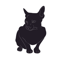 vector illustration of a cat that sits, drawing silhouette