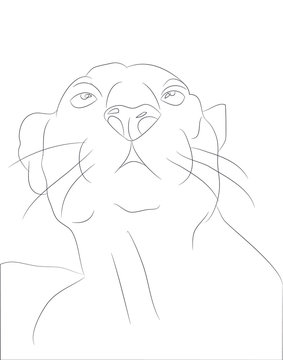 vector illustration of portrait panther, drawing by lines