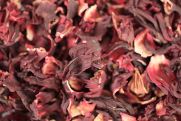 Texture hibiscus sudanese rose petals