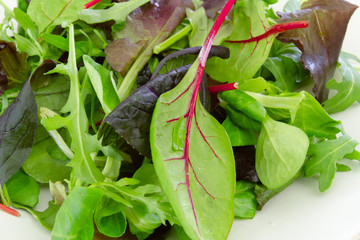 salade de jeunes pousses