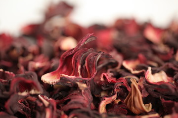 Texture hibiscus sudanese rose petals