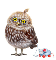 Funny little owlet boy with toy. Hand drawn watercolor - 269347010