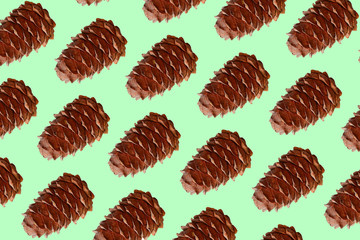 bird feathers arranged in a row on a blue background