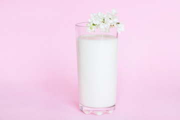 Glass with milk on pink background with white flowers
