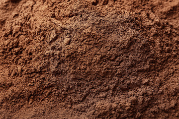 Texture of cocoa powder as background