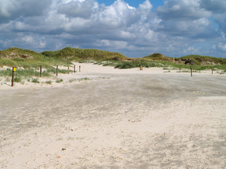 footpath through the dunes in Sankt Peter-Ording