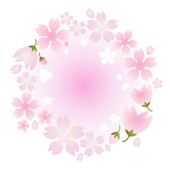 vector cherry blossom flower , pink flower