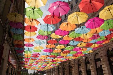 Fototapeta premium Colorful umbrellas decoration in streets of Timisoara city, Romania