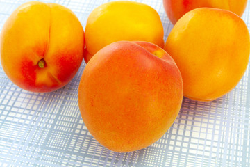 abricots