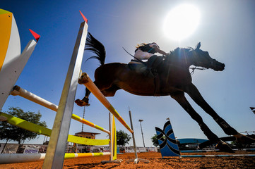 The bottom view on the rider on horse jumping over a hurdle during the equestrian event