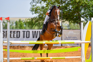 Young rider jumping over the obstacles during the horse jumping competition