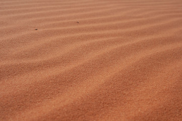 Wave of sand texture, Wadi rum, Jordan