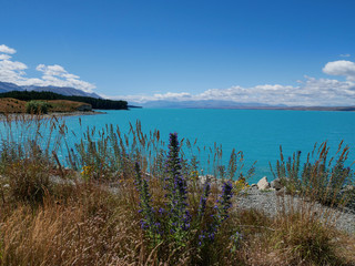 New Zealand