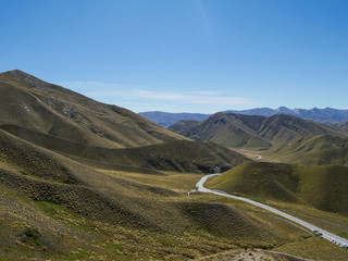 New Zealand Nature