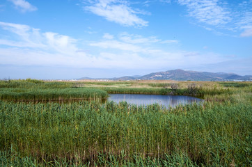 Ponds in Puzol Valencia