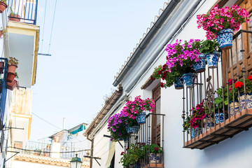 Fototapeta na wymiar パティオを飾る花／Granada, Spain