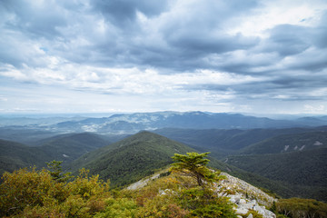 A picturesque view on mountains from above. Thick clouds. Unusual trees. 