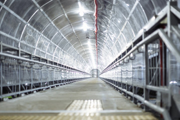 A lighted tunnel. Lines slipping away into the distance. Background.