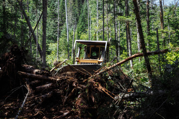 Construction of a road. Bulldozer at work. Destruction a forest. Broken and fallen trees. with a blue sky on the background.  © bazil76
