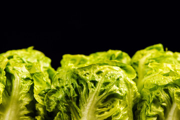 Fresh green salad isolated on black background