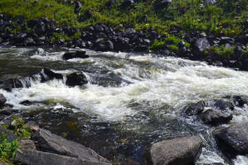 Mountain river, rocks and grass in the sunlight.