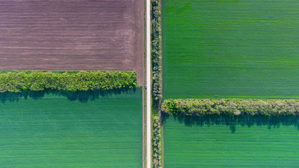 agricultural fields landscaped  panorama  from sky