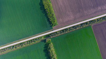 agricultural fields landscaped  panorama  from sky