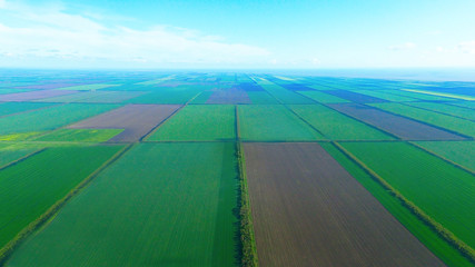 agricultural fields landscaped  panorama  from sky