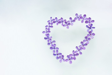 ..Flowers of violet lilac are laid out on a white background in the form of a heart. Soft image. Template for postcards.