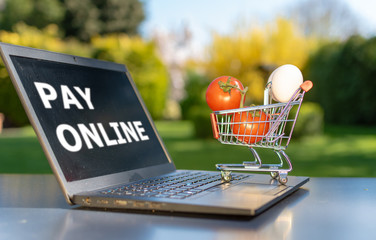 Concept of online grocery shopping. A miniature shopping cart with eggs and tomatoes is standing an a Notebook.