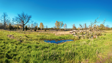 Idyllic panoramic view in spring time in the Lüneburger Heide Nature Park (Nature Reserve), Northern Germany.