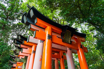 京都 伏見稲荷大社 千本鳥居