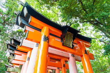 京都 伏見稲荷大社 千本鳥居